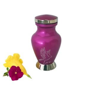 Mini Urns for Sharing Memories